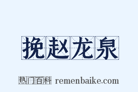 挽赵龙泉是什么意思的图片